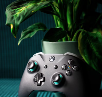 Find Your Plants image